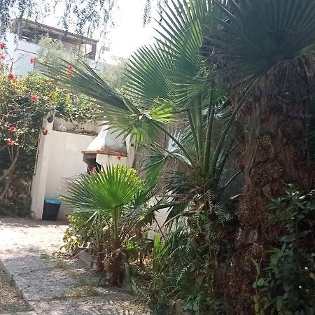 Apartamento - Jardin En Playa San Sebastian Sitges Esterno foto